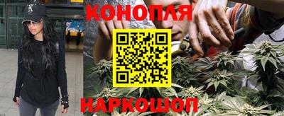 спайс Малгобек